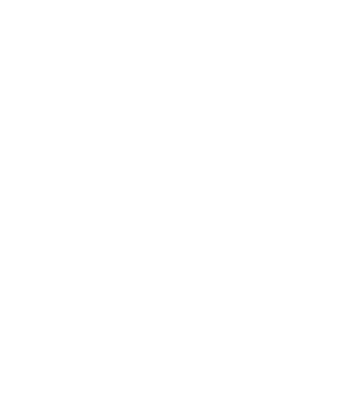 secure-walllet